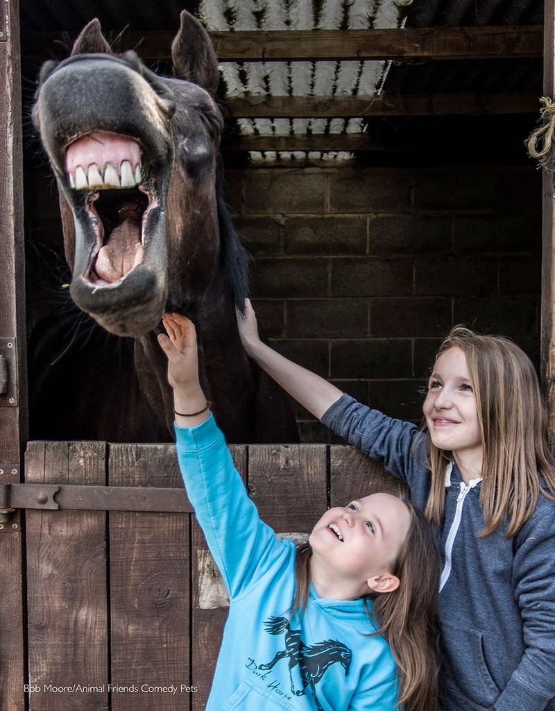 Comedy Pet Photography Awards 2022