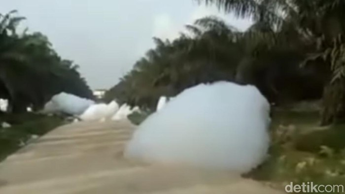 Fenomena awan jatuh disebut terjadi di kebun sawit di Kampar, Riau.