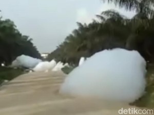 Viral Fenomena Awan Jatuh di Kebun Sawit Kampar, Ini Faktanya