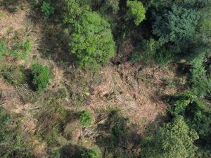 Fakta-fakta Meninggalnya Mahasiswa Unsil di Gunung Cakrabuana