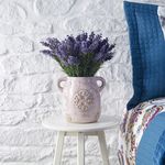 Pengertian Tanaman Hias dan Jenisnya yang Berkhasiat Untuk Kesehatan