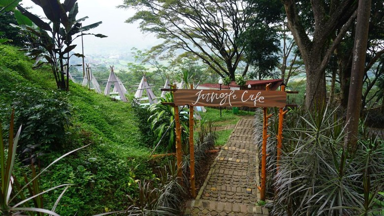 Jungle Cafe Trawas Jungle Cafe Trawas