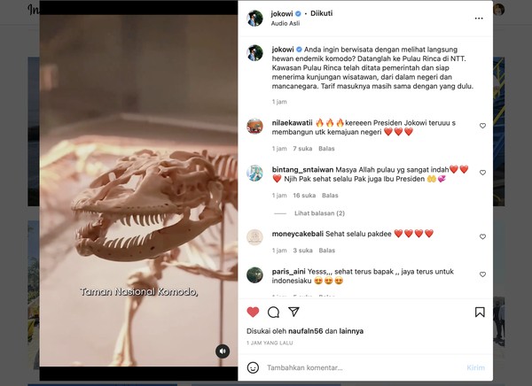 Traveler juga akan melihat sekilas museum yang ada di Jurassic Park TN Komodo di Pulau Rinca. Pada kesempatan itu, Jokowi melihat tulang belulang komodo yang dipajang di dalam etalase.