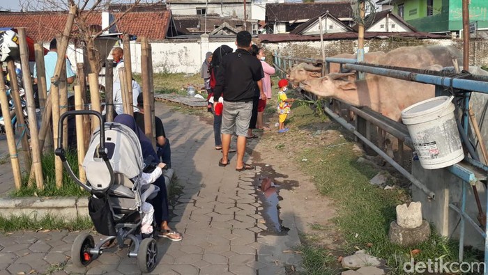 Kandang kebo bule Keraton Solo sisi timur, Jumat (22/7/2022).