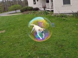 Kumpulan Foto yang Menipu, Harus Lihat dengan Fokus Biar Paham