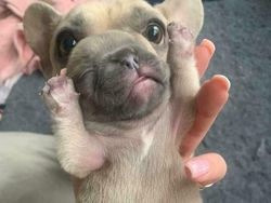 Kumpulan Foto yang Menipu, Harus Lihat dengan Fokus Biar Paham