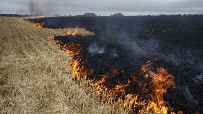 Kebakaran juga melanda ladang gandum di Ukraina.