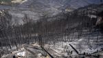 Penampakan Hutan di Spanyol yang Gosong Usai Diamuk Api