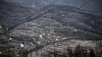 Untuk memadamkan kebakaran hutan ini, pihak berwenang di Catalonia telah mengerahkan lusinan pesawat dan helikopter pemadam.