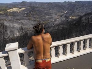 Penampakan Hutan di Spanyol yang Gosong Usai Diamuk Api