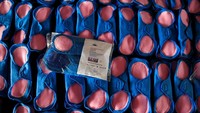 Mukaratirwa menuturkan, jika dihitung dua sampai lima hari per bulan, sekitar 45 hari per tahun waktu sekolah terbuang percuma karena bolos saat menstruasi. Mukaratirwa menyadari perlunya mereka memiliki sumber pembalut yang berkelanjutan.