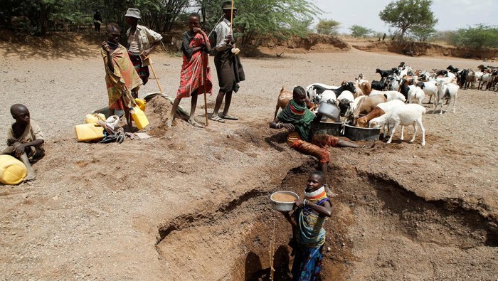 Potret Kekeringan Parah di Kenya Turkana tribe women carry jerrycans as they search of water at the Lorengo village of Turkana North in Turkana county Kenya, July 19 2022. REUTERS/Monicah Mwangi