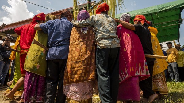 Sebagian masyarakat Suku Kaili sub etnis Ledo yang mendiami sebagian besar Lembah Palu, Sigi dan Donggala masih mempertahankan tradisi syukuran pascapanen itu dengan tradisi adat sebagai bentuk terima kasih kepada Tuhan Yang Maha Esa. Â Sebagian masyarakat Suku Kaili sub etnis Ledo yang mendiami sebagian besar Lembah Palu, Sigi dan Donggala masih mempertahankan tradisi syukuran pascapanen itu dengan tradisi adat sebagai bentuk terima kasih kepada Tuhan Yang Maha Esa. Â