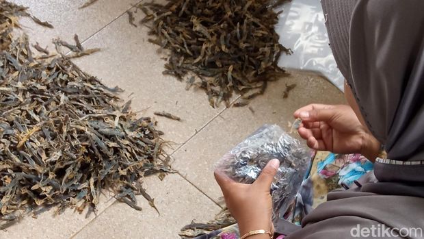 Proses pengolahan cicak kering di Kecamatan Kapetakan Cirebon