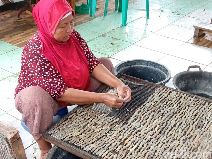 Proses pengolahan cicak kering di Kecamatan Kapetakan Cirebon Proses pengolahan cicak kering di Kecamatan Kapetakan Cirebon