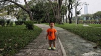 Sebelumnya, Kementerian Agraria dan Tata Ruang/Badan Pertanahan Nasional (ATR/BPN) berencana memindahkan pemenuhan RTH di DKI Jakarta ke daerah Puncak, Bogor, guna mengatasi persoalan banjir di Jakarta, dan memastikan perbaikan lingkungan di wilayah hulu.