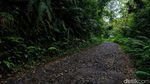 Surga Wisata Tersembunyi di Malasari, Ubud-nya Bogor