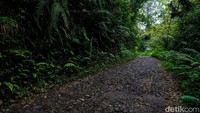 Dari pusat Kota Bogor, waktu tempuh ke Malasari sekitar 3 jam perjalanan. Desa ini terletak di Kecamatan Nanggung yang masuk kawasan Taman Nasional Gunung Halimun Salak (TNGH). 