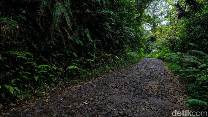 Surga Wisata Tersembunyi di Malasari Jauh dari hiruk pikuk keramaian, Desa Malasari menawarkan berbagai keindahan. Inilah salah satu destinasi wisata tersembunyi di Bogor.