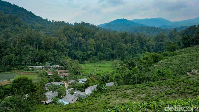 Jauh dari hiruk pikuk keramaian, Desa Malasari menawarkan berbagai keindahan. Inilah salah satu destinasi wisata tersembunyi di Bogor.