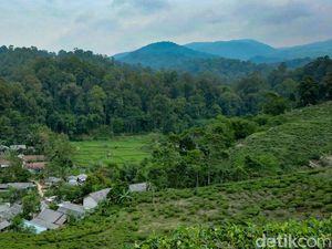 Tour The Malasari: Sport Tourism yang Buka Konektivitas Bogor-Sukabumi