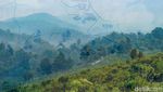 Surga Wisata Tersembunyi di Malasari, Ubud-nya Bogor