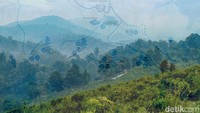 Wisatawan yang berkunjung bisa menginap di homestay maupun berkemah yang tersedia di Citalahab Central. Harga yang dipatok mulai dari Rp 150 ribu per malam di homestay. 