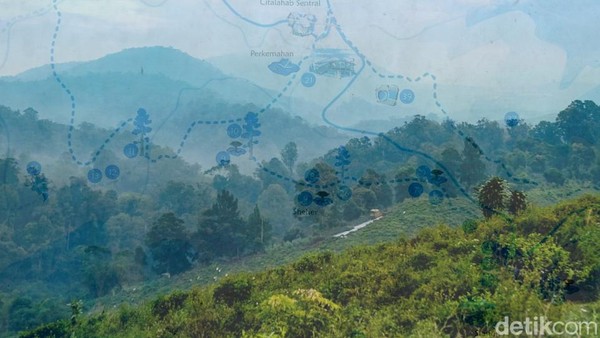 Wisatawan yang berkunjung bisa menginap di homestay maupun berkemah yang tersedia di Citalahab Central. Harga yang dipatok mulai dari Rp 150 ribu per malam di homestay. Wisatawan yang berkunjung bisa menginap di homestay maupun berkemah yang tersedia di Citalahab Central. Harga yang dipatok mulai dari Rp 150 ribu per malam di homestay.Â