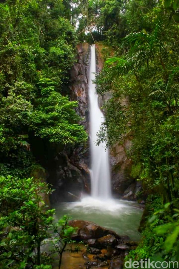 Destinasi wisata lainnya yang ditawarkan adalah Curug Macan. Di sana kita bisa melihat serangga daun yang berada di kawasan Malasari serta beberapa fauna lainnya seperti macan tutul, owa Jawa, babi hutan, sampai rusa. Destinasi wisata lainnya yang ditawarkan adalah Curug Macan. Di sana kita bisa melihat serangga daun yang berada di kawasan Malasari serta beberapa fauna lainnya seperti macan tutul, owa Jawa, babi hutan, sampai rusa.