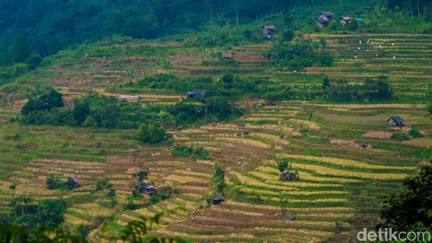 Jauh dari hiruk pikuk keramaian, Desa Malasari menawarkan berbagai keindahan. Inilah salah satu destinasi wisata tersembunyi di Bogor.