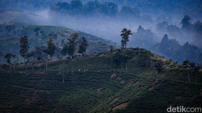 Jauh dari hiruk pikuk keramaian, Desa Malasari menawarkan berbagai keindahan. Inilah salah satu destinasi wisata tersembunyi di Bogor.