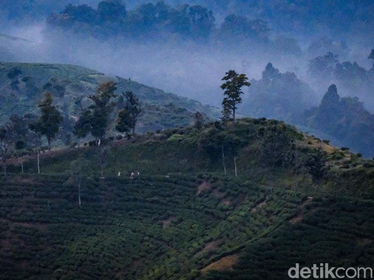 Surga Wisata Tersembunyi di Malasari, Ubud-nya Bogor