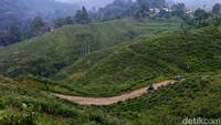 Saat ini, di Cilatahab Central terdapat kelompok mahasiswa yang tengah kuliah kerja lapangan. Mereka turut didampingi warga setempat untuk meneliti dan mengenbangkan desa tersebut. 