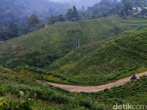 Tour Malasari 2025: Bibit Event Sepeda Nasional di Kabupaten Bogor