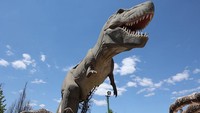 Meski memakan biaya pembangunan sampai US$801juta atau setara Rp11 Triluan, ada saja masalah yang terjadi mulai dari roller coaster mogok dua hari setelah peresmian, toilet berantakan, beberapa wahana belum selesai. 