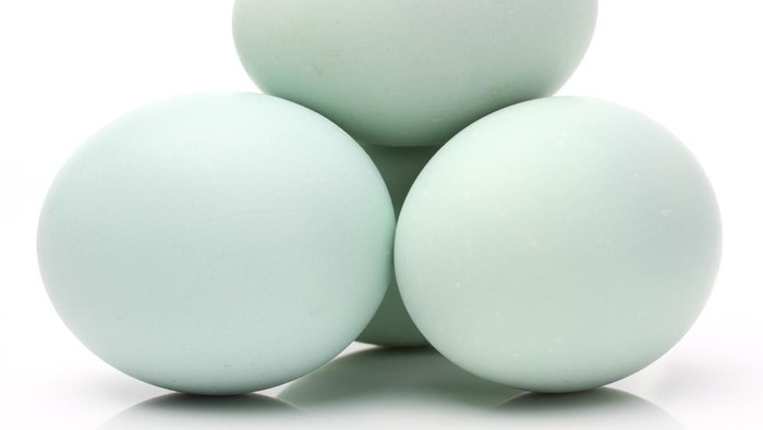 10 Manfaat Telur Bebek Rebus Jika Dimakan Setiap Hari