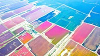 Hal ini disebabkan oleh mekarnya alga Dunaliella Salina, spesies unik yang tahan garam yang menciptakan warna biru dan hijau di air bergaram. Ia bisa mengubah warna merah cerah dalam salinitas tinggi dan panas.   