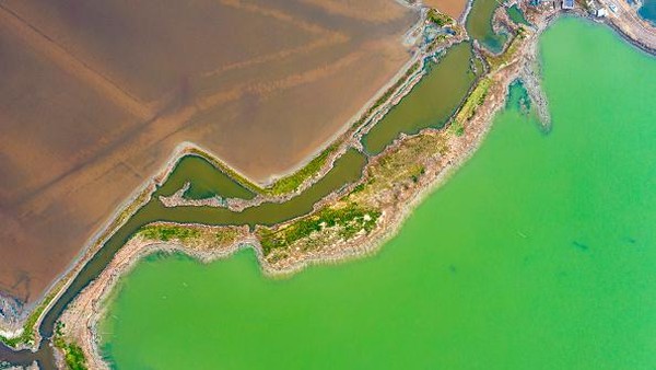 Mencakup area seluas 100 kilometer persegi, Danau Garam Yuncheng terdiri dari 14 danau garam alami. Â Mencakup area seluas 100 kilometer persegi, Danau Garam Yuncheng terdiri dari 14 danau garam alami. Â