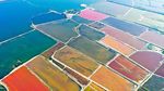 Terpukau Indahnya Danau Garam Warna-warni di China, Bak Lukisan