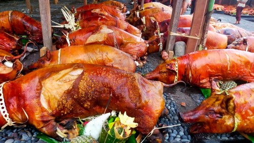 Beberapa ekor babi guling berjajar di Pura Panti Kaler, Desa Adat Timbrah, Kecamatan dan Kabupaten Karangasem, Bali.