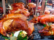 Distan Tabanan Pastikan Ketersediaan Daging Babi Aman Jelang Galungan