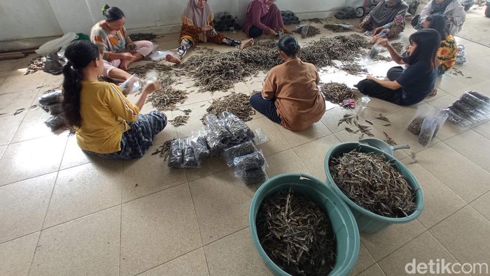 Warga Cirebon diberdayakan dalam bisnis cicak kering