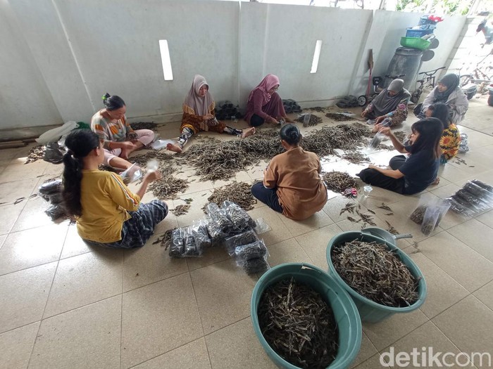 Warga Cirebon diberdayakan dalam bisnis cicak kering