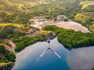 Catat! 3 Tempat di TN Komodo yang Dilarang Terbangkan Drone