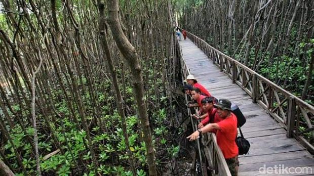 Destinasi wisata di Kabupaten Sinjai, Sulsel.