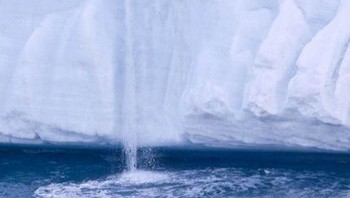 Wajah menangis. Foto: Reddit