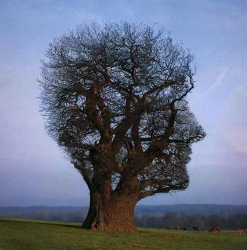 Foto ilusi optik alam