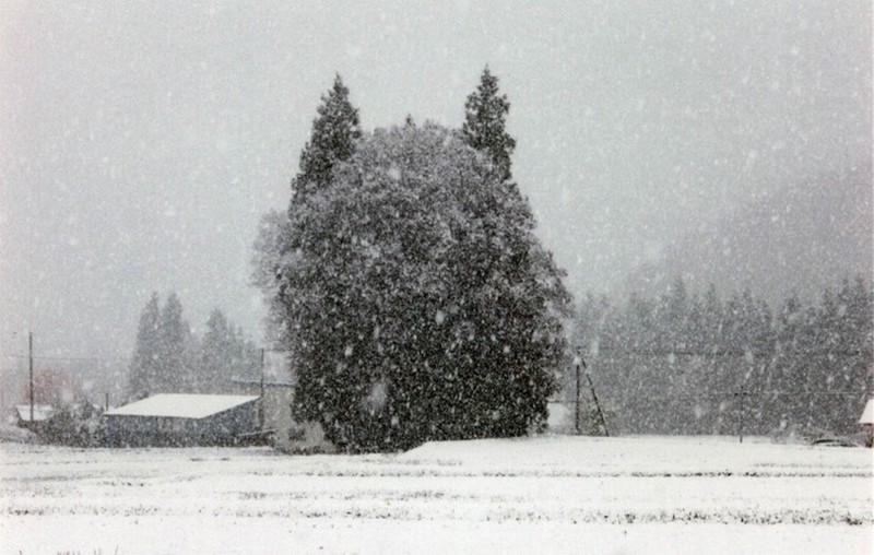 Foto ilusi optik alam