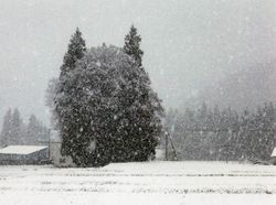 Tanpa Photoshop! Ilusi Optik Alam yang Mencengangkan Mata