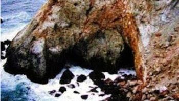 Kepala kuda. Foto: Reddit